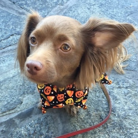 Meet your Posher, Mariela - Picture 1 of 1